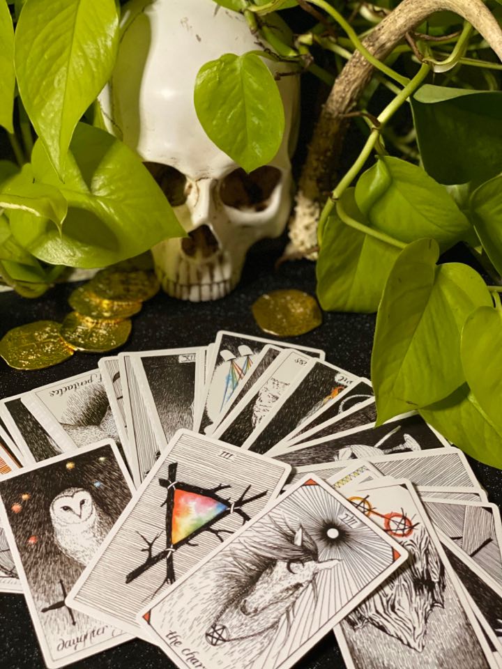 "The Wild Unknown" Tarot Cards