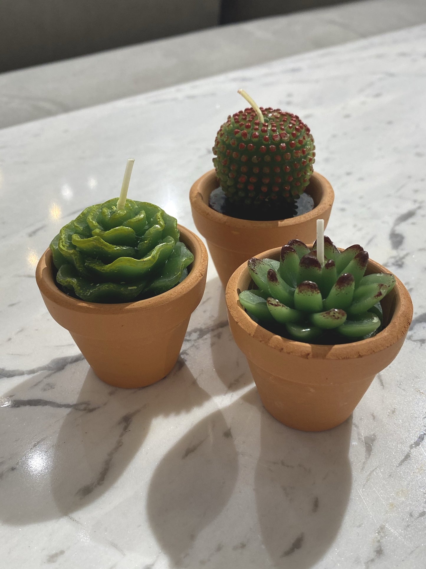 Succulent Candles (Set of 3) with Pots